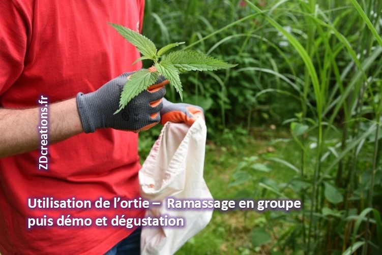 ORTIE_site