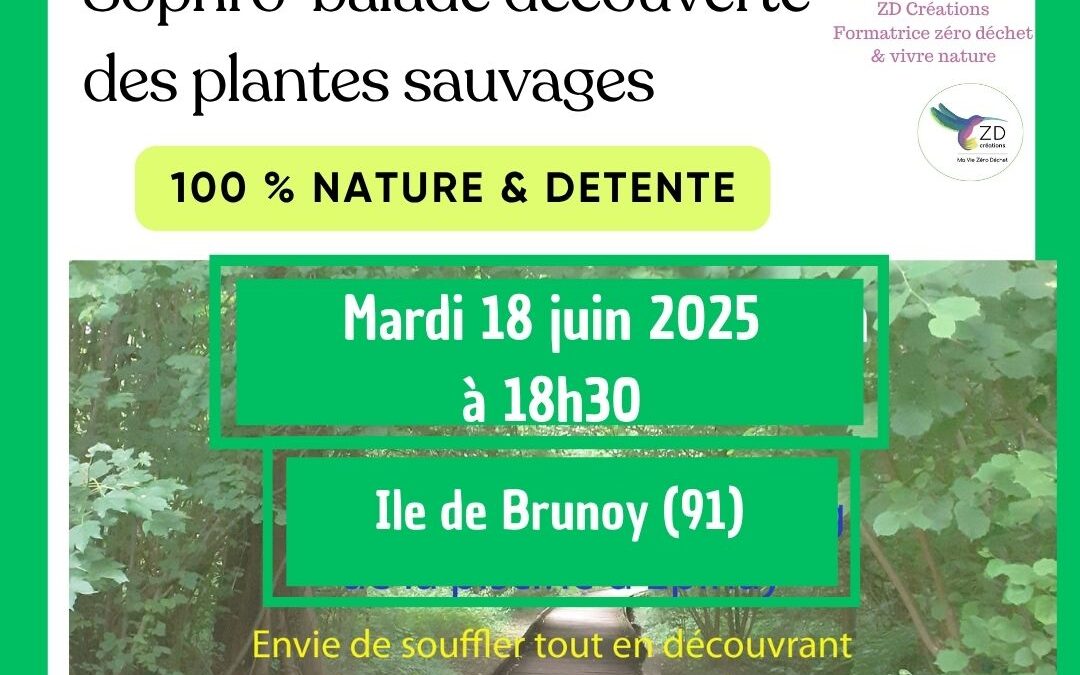 Sophro balade découverte plantes sauvages