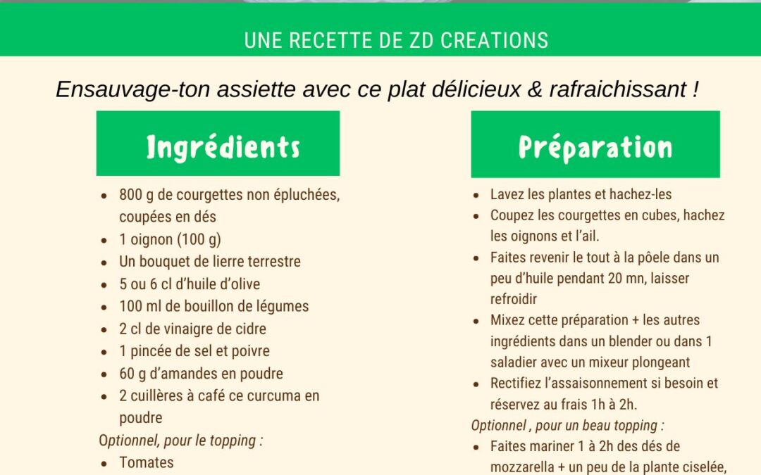 Découvre une recette rafraichissante, originale & délicieuse !