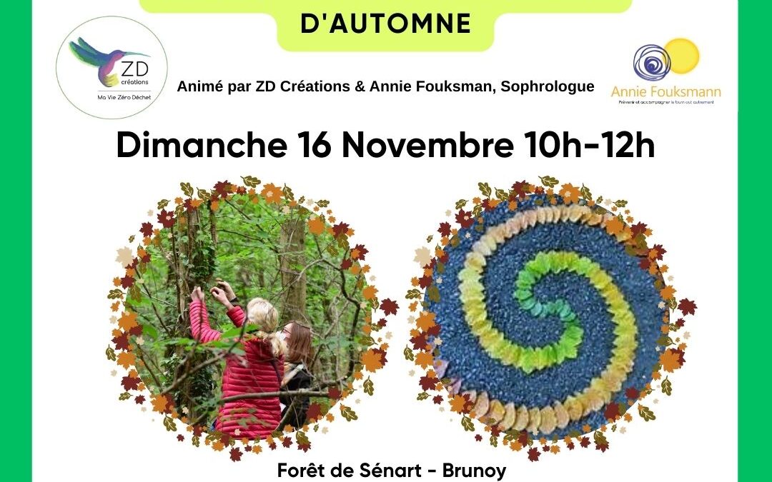 Balade plantes sauvages + Sophro Land’art