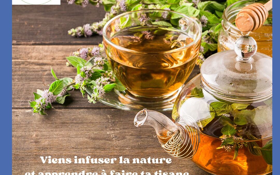 Atelier tisane aux plantes sauvages